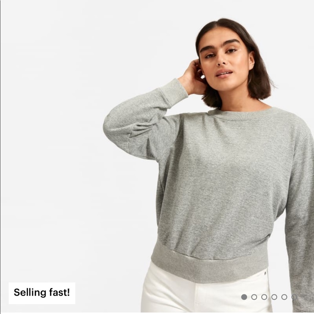 Everlane Lightweight French Terry Pleat Sweatshirt